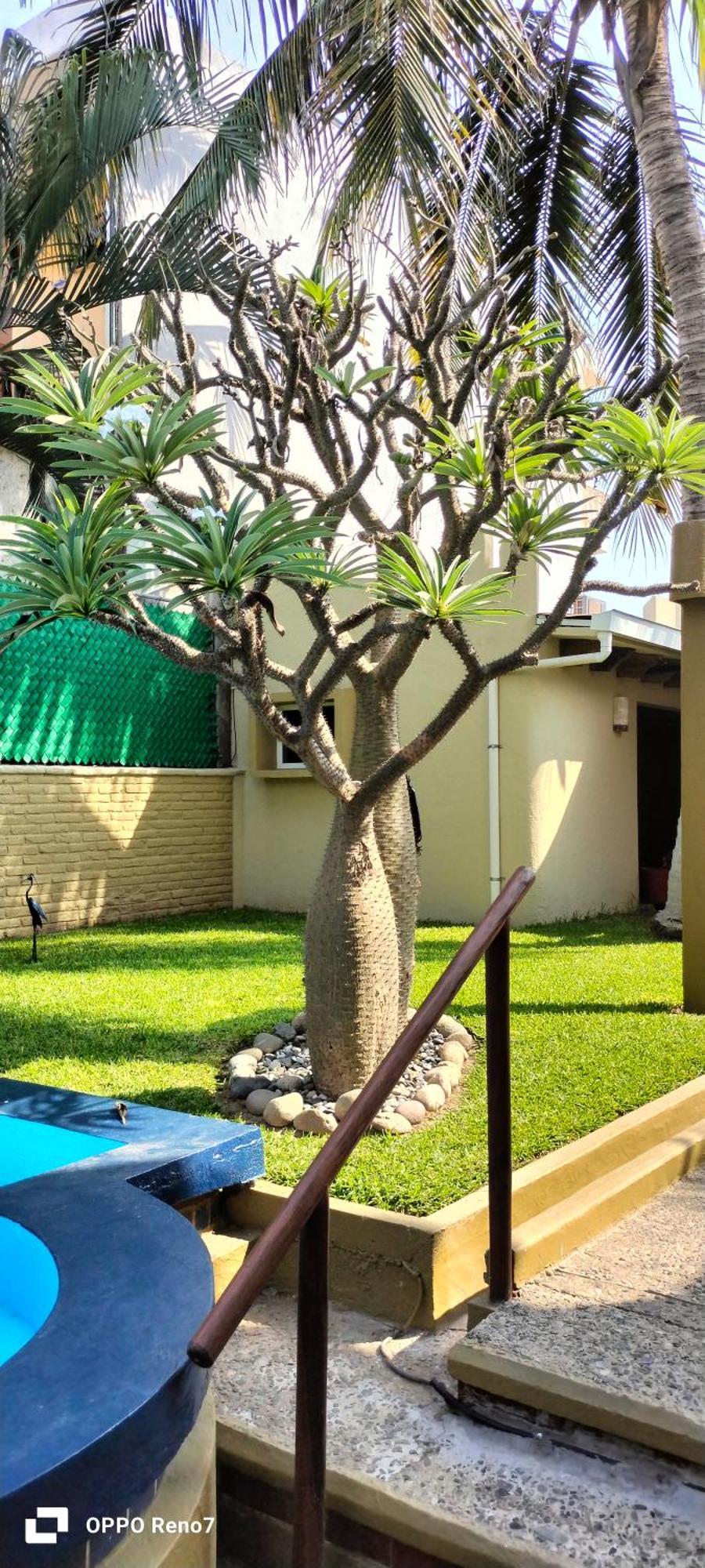 זיהואטנחו Villas Miramar מראה חיצוני תמונה